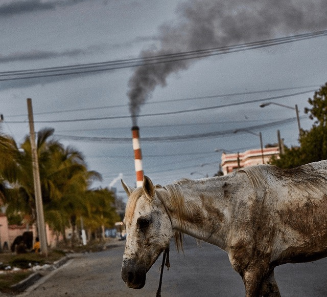 The Unicorn is a dying smokestack of despair.